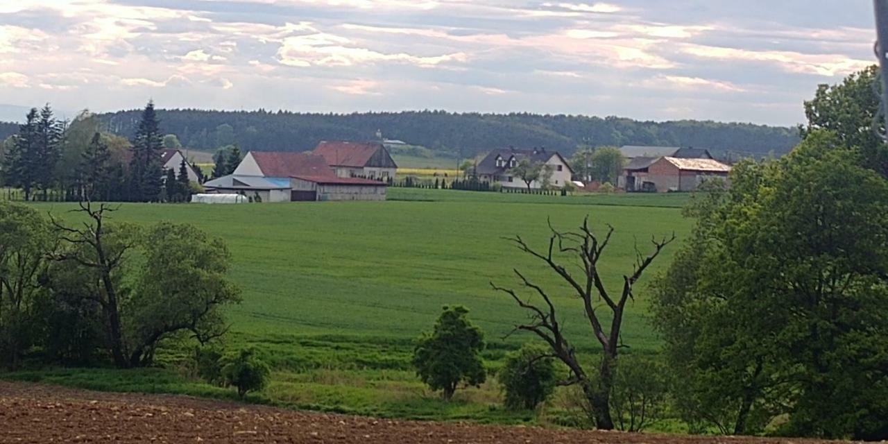 Palac Lucja Bb Zakrzów Kültér fotó